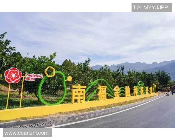 亨克与贝西克塔的激烈对决揭示了足球战术的深度与魅力