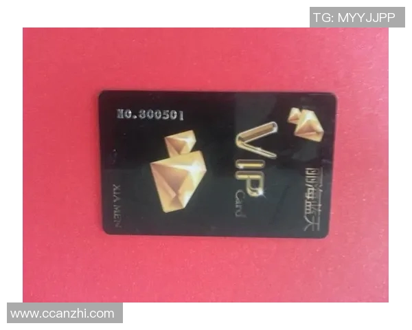 如何在vs竞技平台上顺利充值VIP会员服务的详细步骤解析