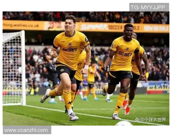 狼队与布莱顿激战正酣赛场比分揭晓引发球迷热议