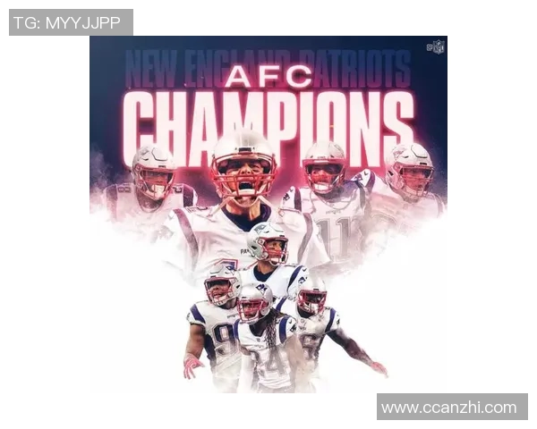 明尼苏达与达拉斯的对决结果揭晓引发热议与期待